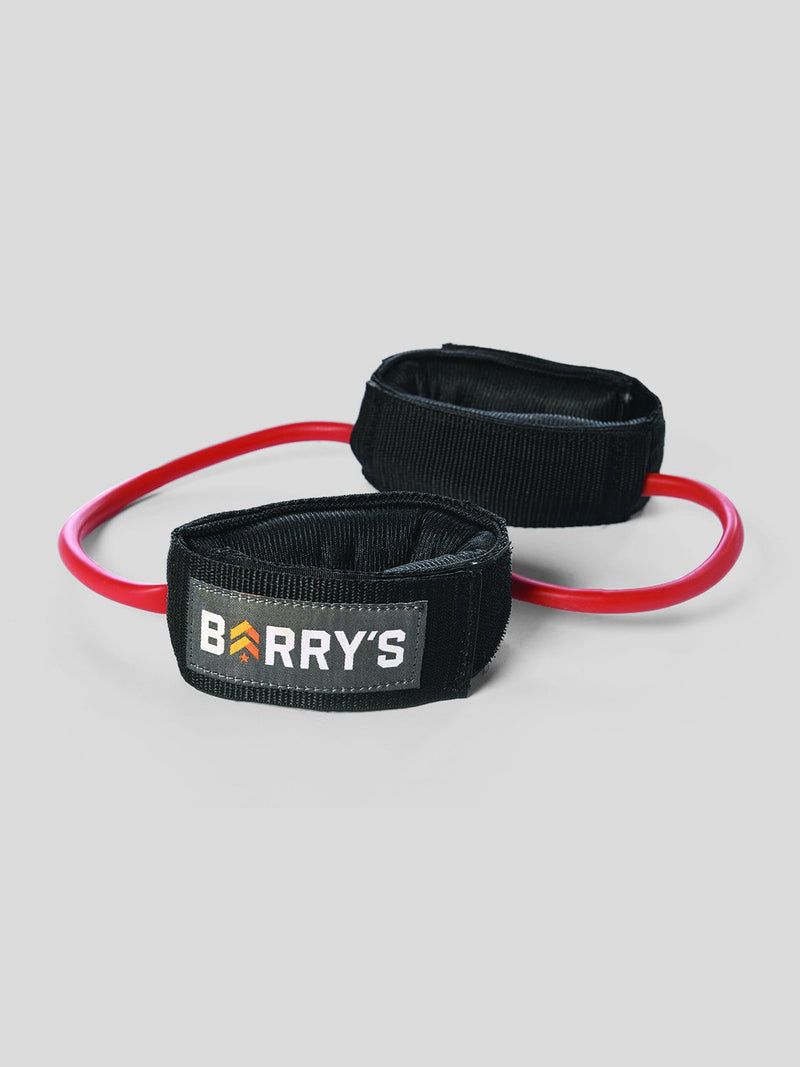 BARRY'S BOOTY BAND