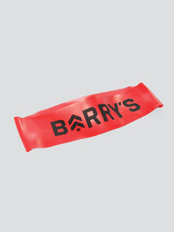 BARRY'S MINI BAND